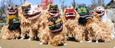 大獅子  琉球舞団 昇龍祭太鼓